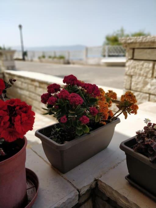 Ionian Blue Studio بريفيزا المظهر الخارجي الصورة