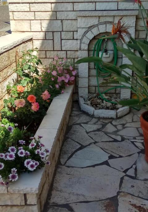 Ionian Blue Studio بريفيزا المظهر الخارجي الصورة