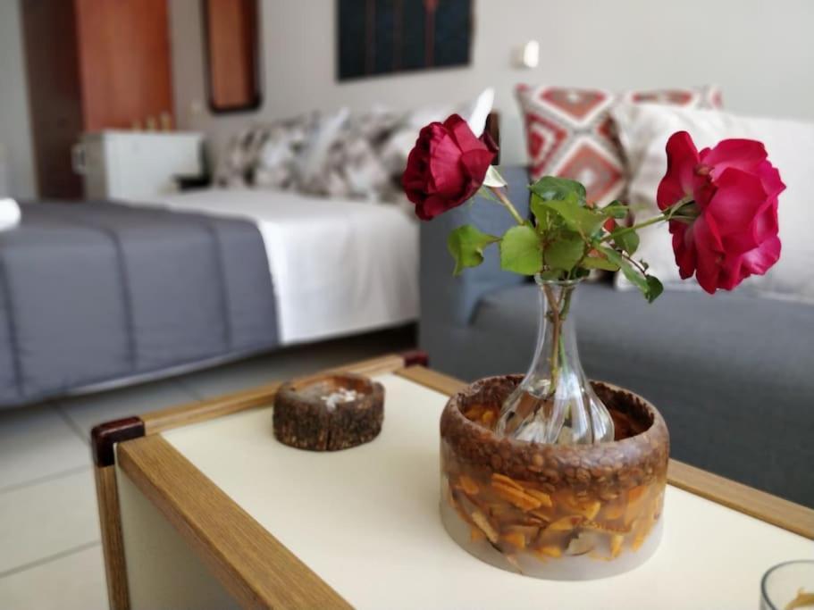 Ionian Blue Studio بريفيزا المظهر الخارجي الصورة