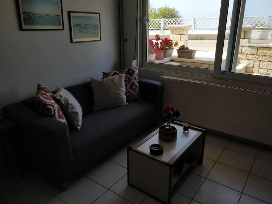 Ionian Blue Studio بريفيزا المظهر الخارجي الصورة