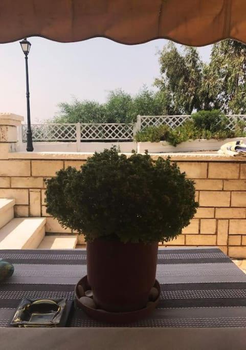 Ionian Blue Studio بريفيزا المظهر الخارجي الصورة